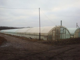 Продажа тепличного комплекса в Запорожской области